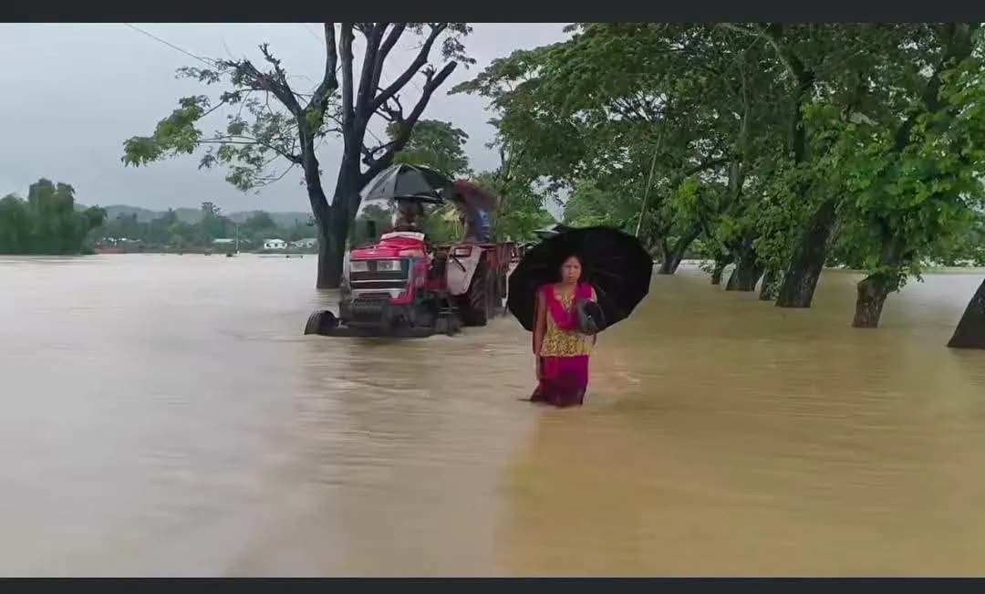 Climate Communication Through Documentary Storytelling